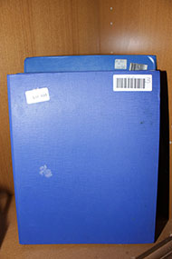 Lot 608