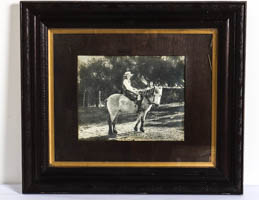 Lot 313