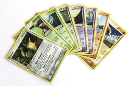 Lot 23
