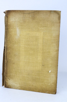 Lot 419