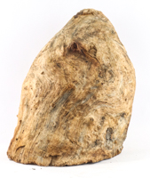 Lot 224