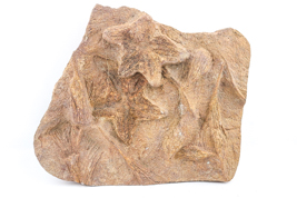 Lot 58