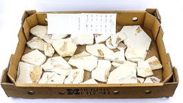 Lot 115
