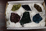 Lot 496