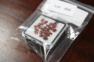 Lot 500