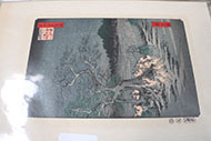 Lot 702