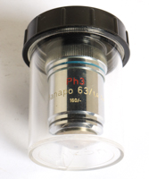 Lot 139