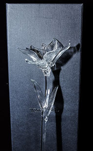 Lot 127