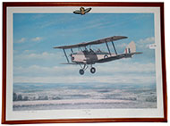 Lot 1380