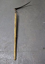 Lot 1425