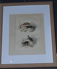 Lot 1430