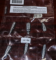 Lot 454