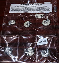 Lot 455