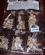 Lot 460