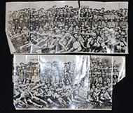 Lot 529