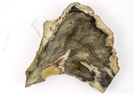 Lot 63