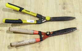 Lot 24