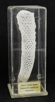 Lot 215