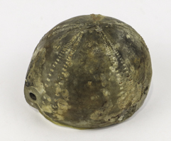 Lot 25