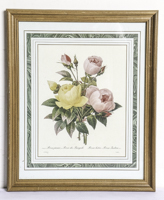 Lot 532
