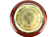 Lot 142