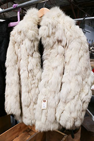 Lot 582