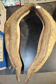 Lot 723