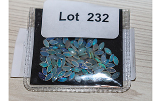 Lot 232