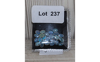 Lot 237