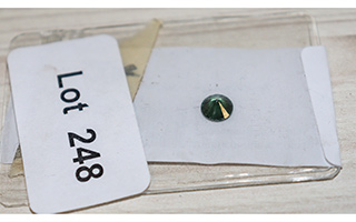 Lot 248