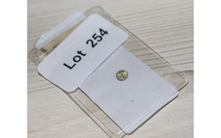 Lot 254