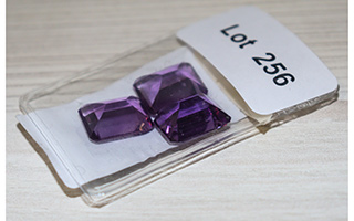 Lot 256