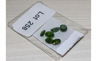 Lot 258