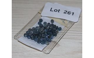 Lot 261