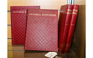 Lot 565
