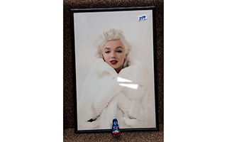 Lot 259