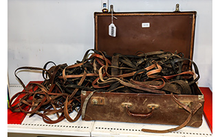 Lot 45