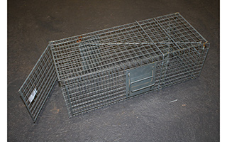 Lot 245