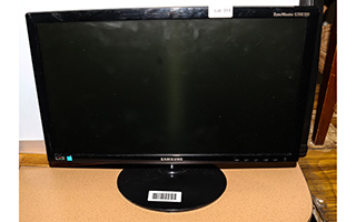 Lot 313