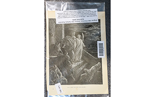 Lot 262