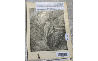 Lot 263