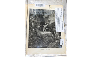Lot 264