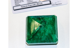 Lot 343