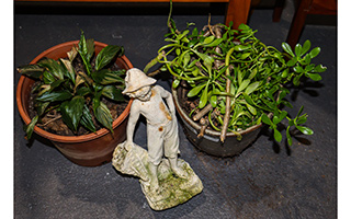 Lot 205