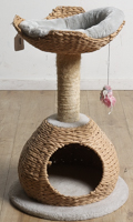 Lot 304