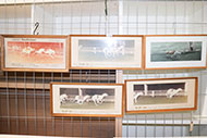 Lot 346