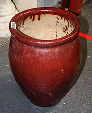 Lot 1010