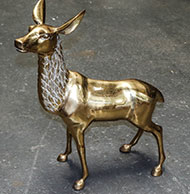 Lot 1037