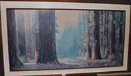 Lot 146