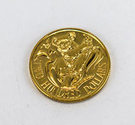 Lot 528